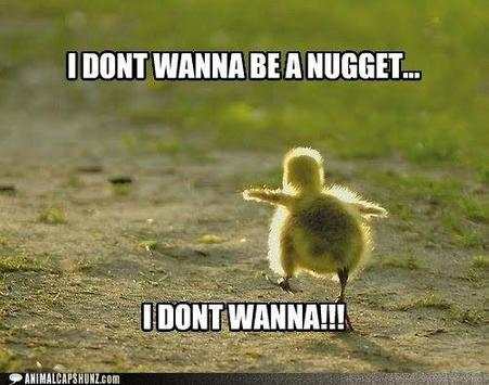 Funny Caption Pictures screenshot 2