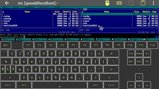 Another Term Lite screenshot 2
