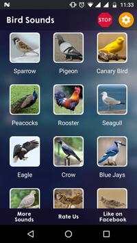 Bird Sounds screenshot 2