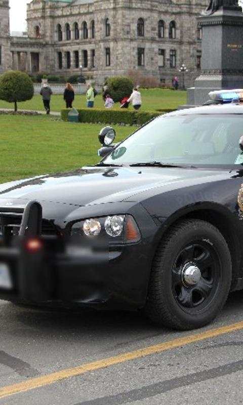 Police Car Free Game Puzzles Jigsaw screenshot 1