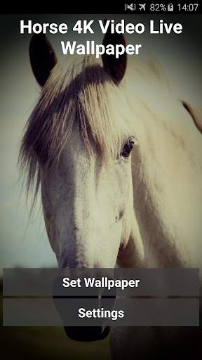 Horse 4K Video Live Wallpaper screenshot 1