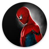 Spiderman HD Wallpapers 1.0