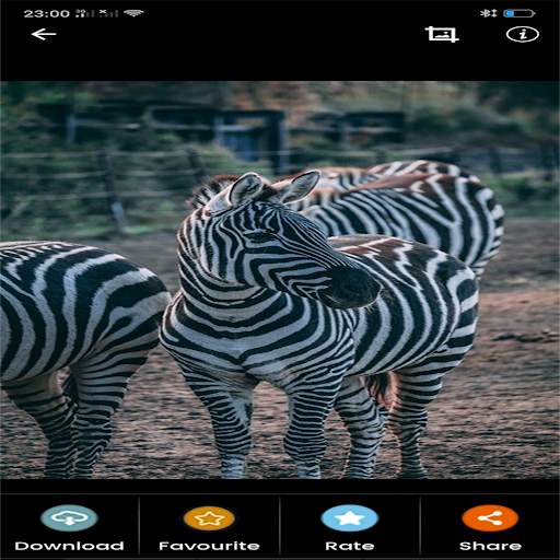 animals Wallpapers screenshot 6