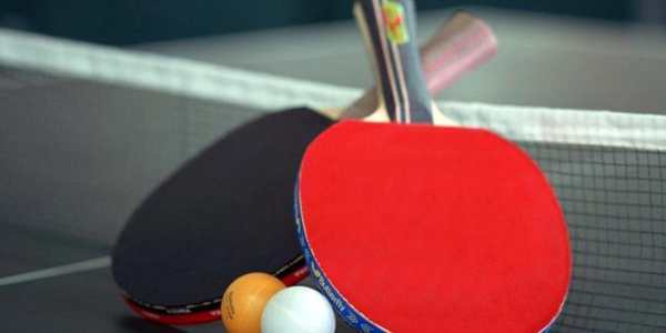 Table tennis theme screenshot 2
