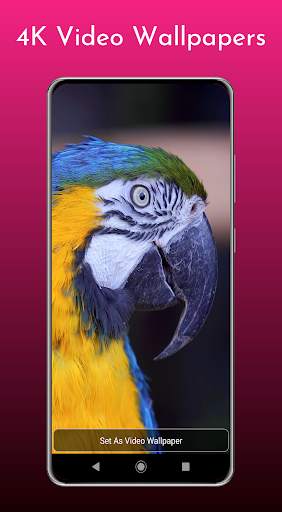 WallpapersMania - Parallax, GIF, Video Wallpapers screenshot 3