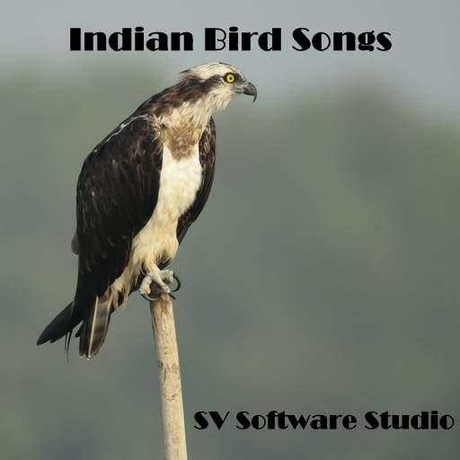 Indian Bird Sounds 1.4