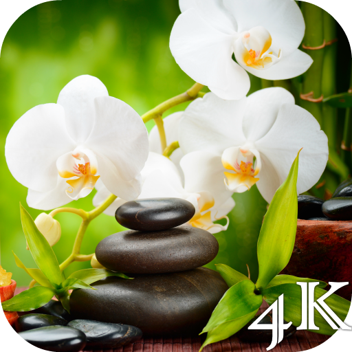 Orchid 4K Live Wallpaper icon