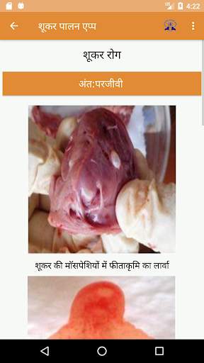 IVRI-Pig Farming App(शूकर पालन) screenshot 3