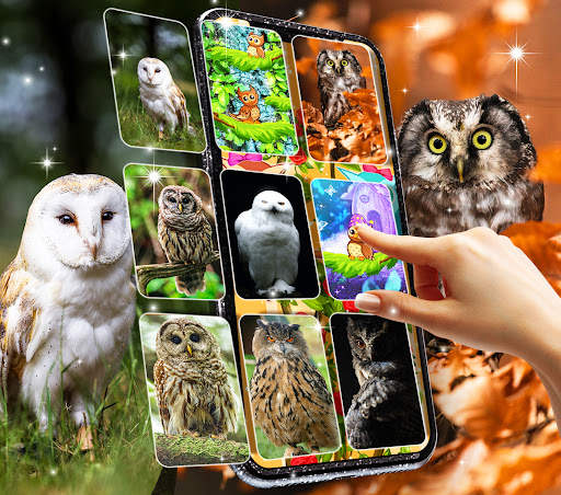 Owl live wallpaper screenshot 1