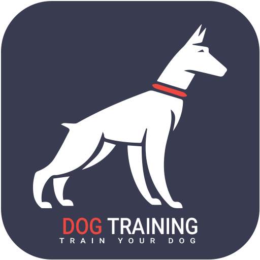 Home Dog Training: Family Pet Dog 1.0
