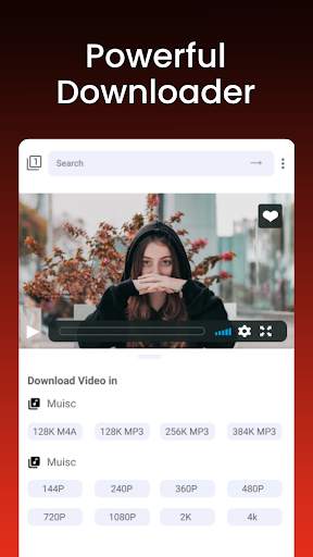 All Video Downloader screenshot 1