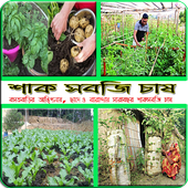 ছাদে, বারান্দায় ও বাড়িতে শাক সবজি চাষ (কৃষি টিপস) icon