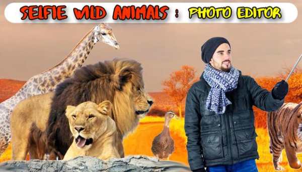 Selfie Wild Animals : Photo Editor 2018 screenshot 6