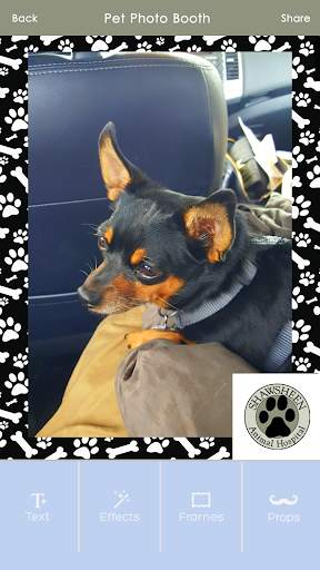 Shawsheen Animal Hospital screenshot 5