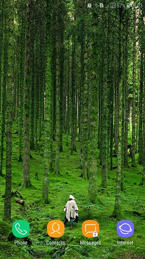 Forest Wallpaper screenshot 13