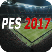 ikon Guide PES PRO 17