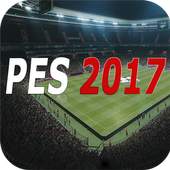 Guide PES PRO 17 1