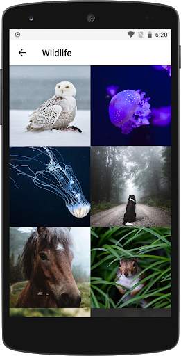 HD Wallpapers for Mobile screenshot 6