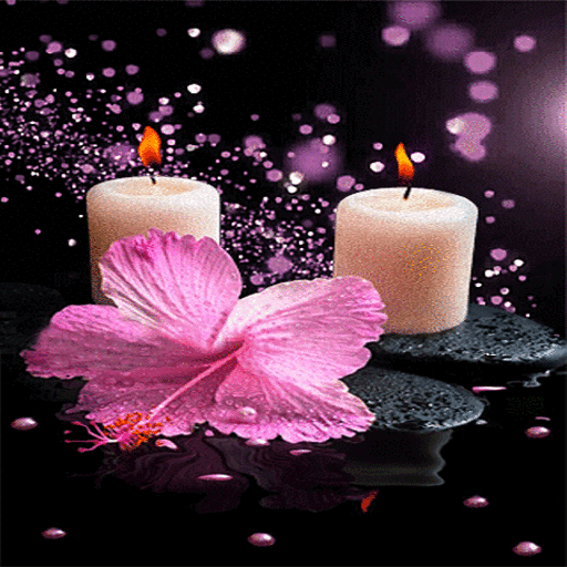 Pink Flower Candle LWP أيقونة