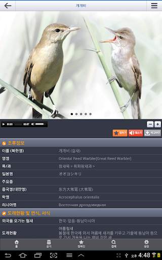 한국의 조류(Birds of Korea) screenshot 22