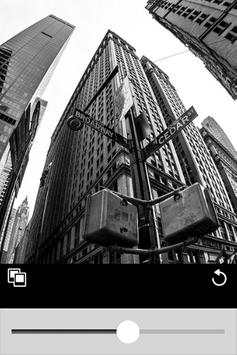 Fisheye Camera screenshot 1