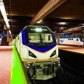 Indian Train simulator 3D Game:Train Racing 2020 1.0