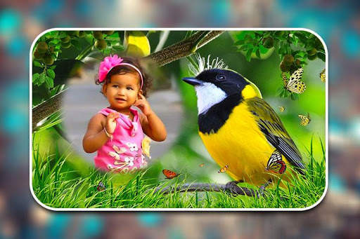 Birds Photo Frames screenshot 6