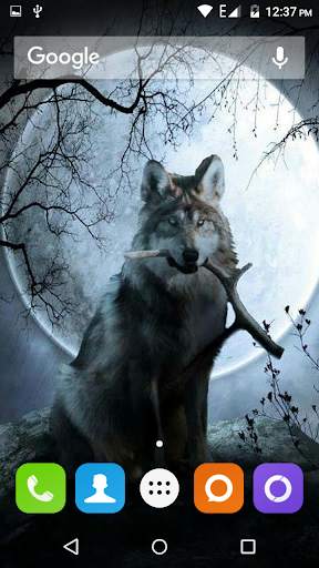 Wolf Hd Wallpaper 4 تصوير الشاشة