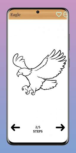 How to Draw Birds of Prey screenshot 2