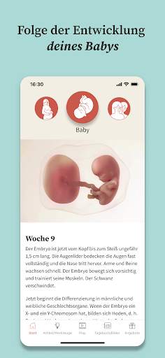 Preglife - Schwangerschaftsapp screenshot 2