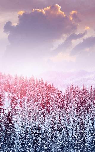 Snow Live Wallpaper HD screenshot 4