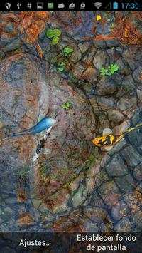 🐠 Koi aquarium 3D live wallpaper screenshot 2