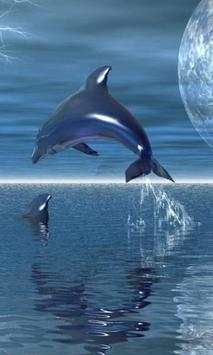Dolphins Wallpapers screenshot 4