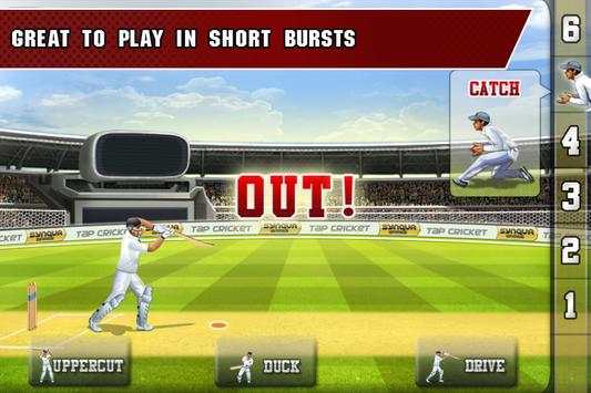 Tap Cricket 2013 screenshot 5