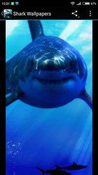 Shark Wallpapers screenshot 4