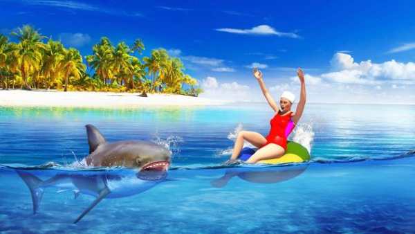 Shark 3D Hunting Games 2018 screenshot 7
