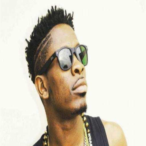 Shatta Wale All Songs 1.2