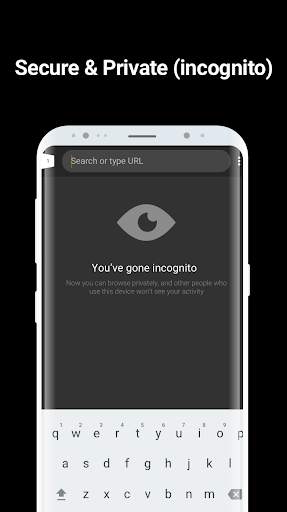 Black - AdFree Incognito Browser screenshot 2