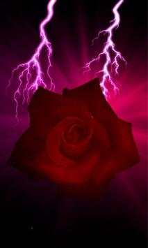 love rose screenshot 4