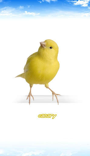 Bird sounds स्क्रीनशॉट 2
