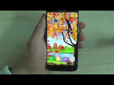 Autumn Pond Live Wallpaper screenshot 1