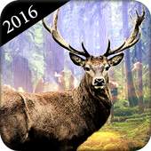 Deer Hunter : Deer Hunting 1.0