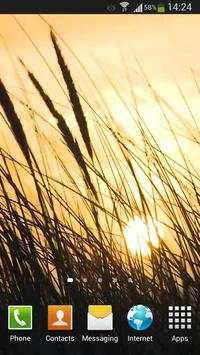 Grass Live Wallpaper HD screenshot 7