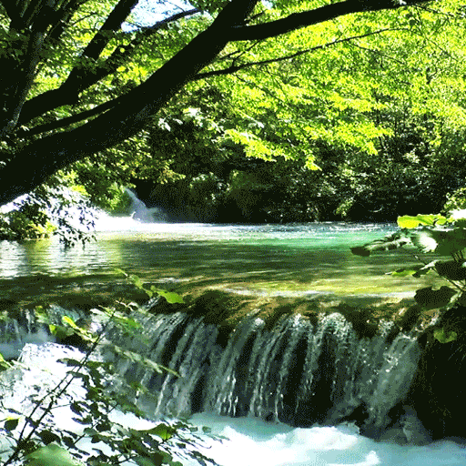 Forest River Live Wallpaper иконка