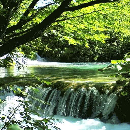 Forest River Live Wallpaper 3