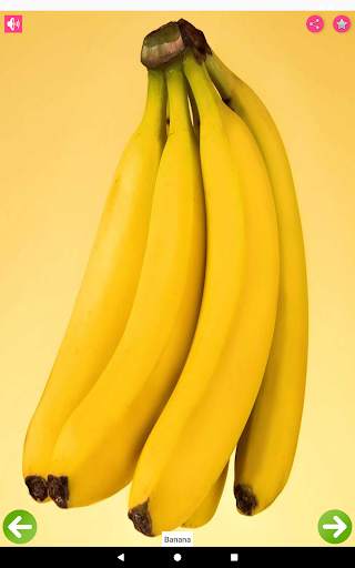 Fruits Name with Pictures screenshot 3