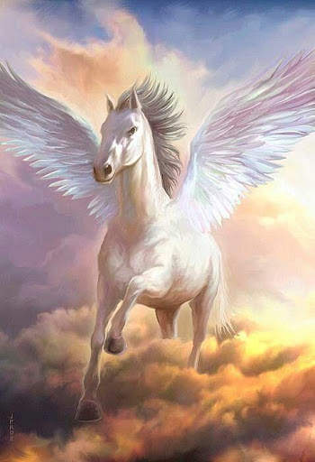 Horse  live wallpaper screenshot 4