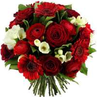Flores y Rosas stickers - WAStickerApps