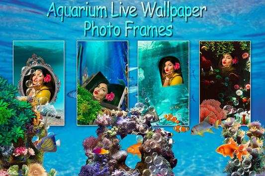 Fishes in water And Ocean screenshot 8