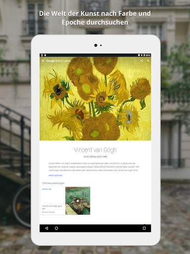Google Arts & Culture screenshot 12